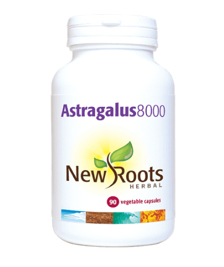 Astragalus 8000 | 500 mg | 90 Capsules