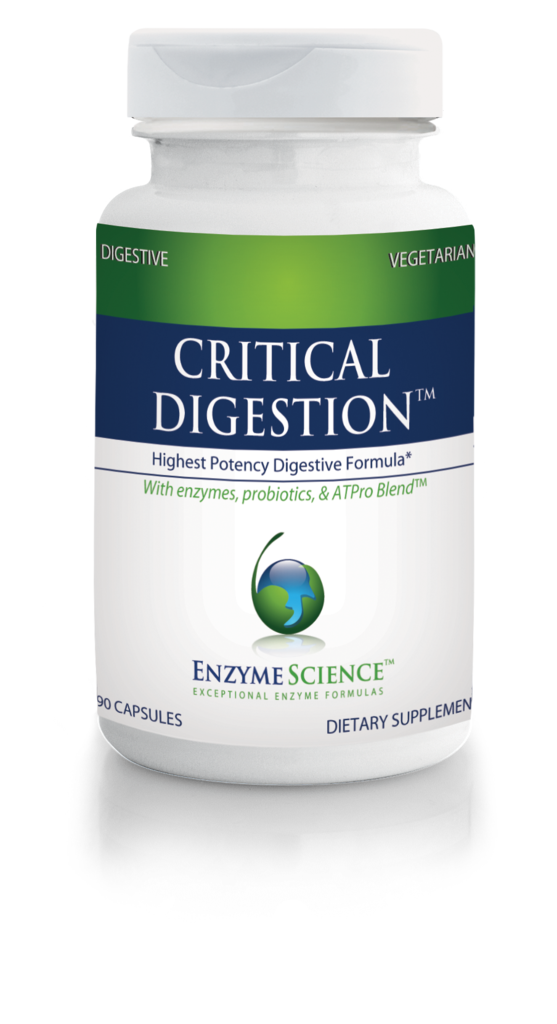 Enzyme Science - Critical Digestion