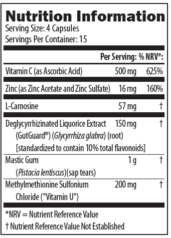 GI-Pro HP (Gastromend HP) 60 Capsule | Designs for Health