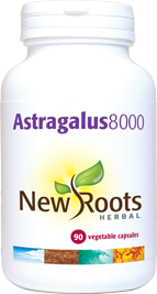 Astragalus 8000 | 500 mg | 90 Capsules