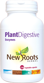 Plant Digestive Enzymes | 120 Capsules